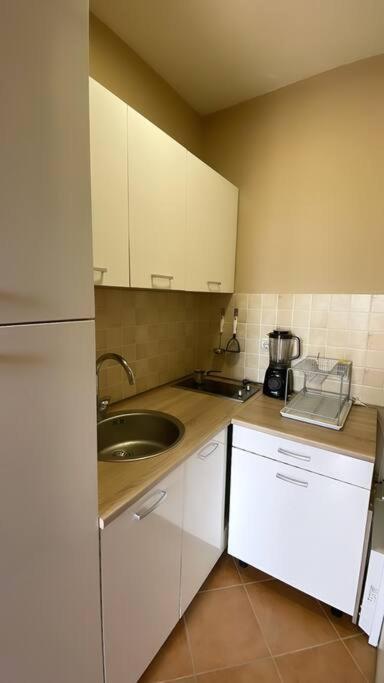 Stunning Lake And Mountain Views - Velkoski Apartments Ohrid Eksteriør bilde
